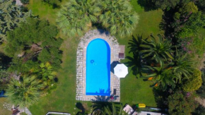 Villa Tropicalia
